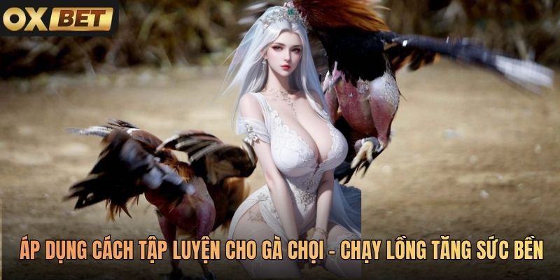 Áp dụng cách tập luyện cho gà chọi - chạy lồng tăng sức bền
