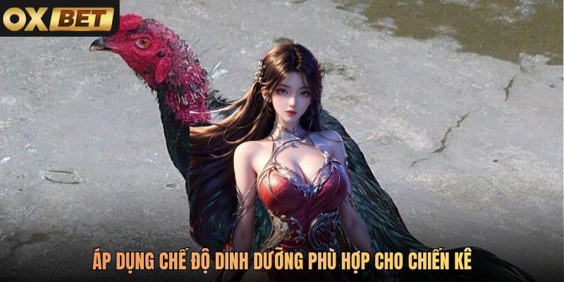Áp dụng chế độ dinh dưỡng phù hợp cho chiến kê