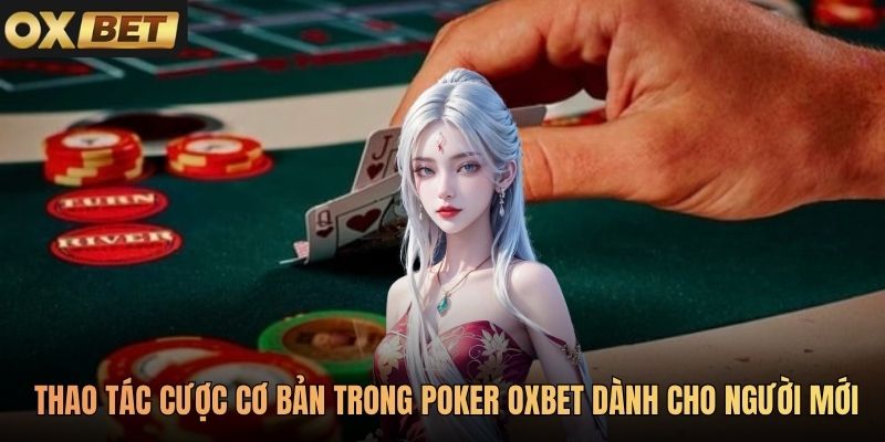 Các thao tác cược cơ bản trong Poker Oxbet dành cho người mới