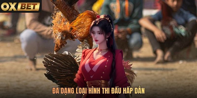 Đa dạng loại hình thi đấu hấp dẫn