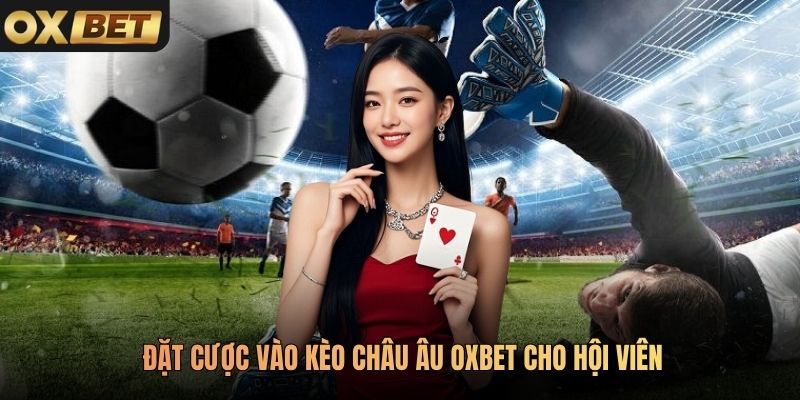 Đặt cược vào kèo châu Âu Oxbet cho hội viên