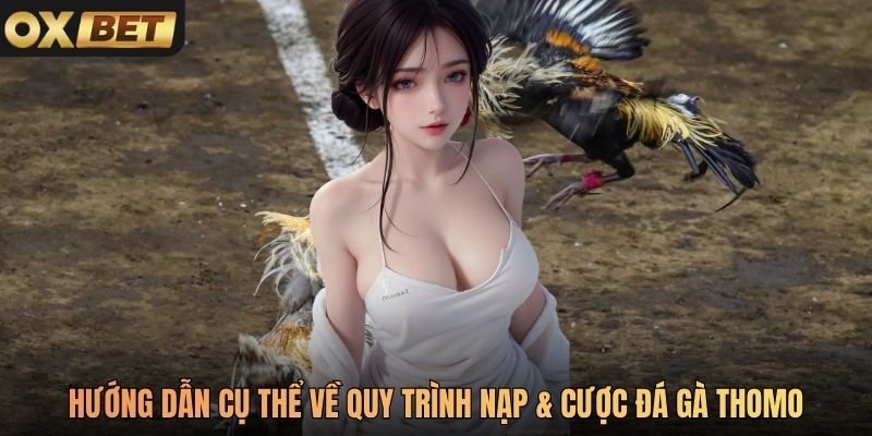 Hướng dẫn cụ thể về quy trình Nạp và cược đá gà Thomo