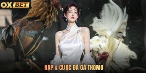 Quy Trình Nạp & Cược Đá Gà Thomo Oxbet Chuẩn Dành Cho Newbie