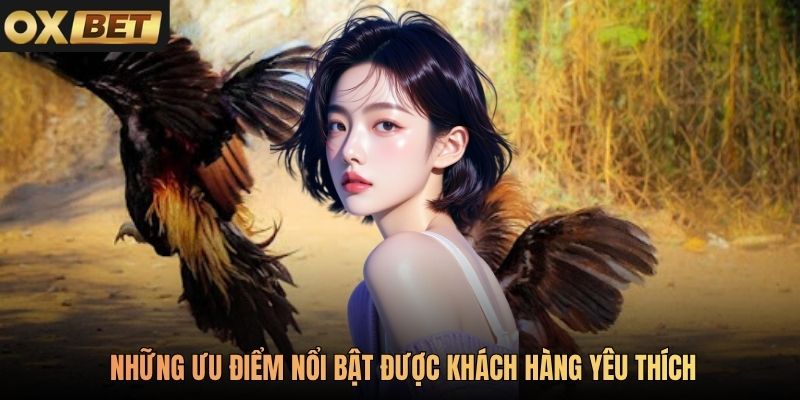Những ưu điểm nổi bật được khách hàng yêu thích