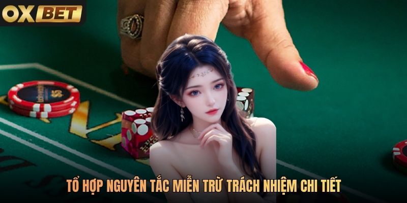 Tổ hợp nguyên tắc miễn trừ trách nhiệm chi tiết